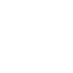 Digital Warpaint